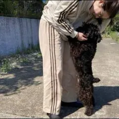 在原みゆ紀着用 90s adidas トラックパンツ ジャージ ベージュブラウン