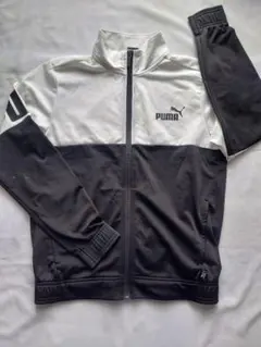 Item thumbnail for item 7b810e79-6849-4c25-a625-331237f9bca0