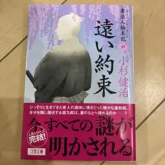遠い約束 素浪人始末記(六)