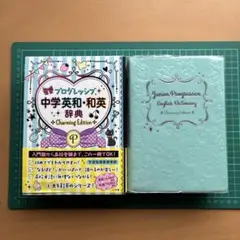 Item thumbnail for item 4cd87bc9-ce5b-497d-9c20-00d837c32b60