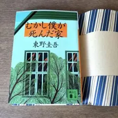 むかし僕が死んだ家