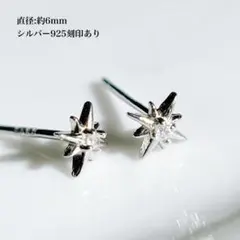 極小の輝きが可愛い シルバースターピアス 小さめ S925 シンプルな星デザイン