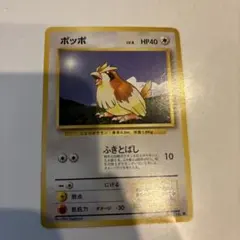 ポッポ ● 第1弾拡張パック　旧裏