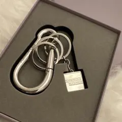 非売品　AMEX プラチナカード　カナビラ　シルバー
