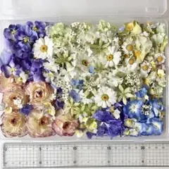 そらしど様専用‼️No.179 訳ありmixたっぷりドライフラワー
