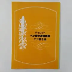2026年最新】現代ペン習字の人気アイテム - メルカリ