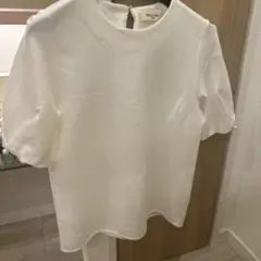 ホワイト 半袖 トップス パールボタン