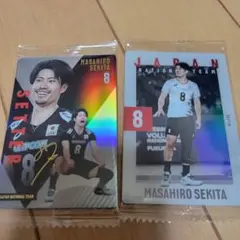 日本代表バレーウエハース 関田誠大