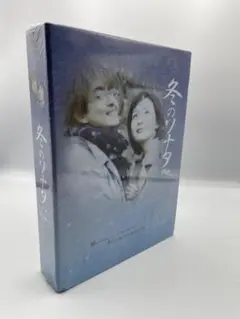 冬のソナタ　Plus