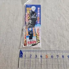 宮古島のまもる君ストラップのサムネイル