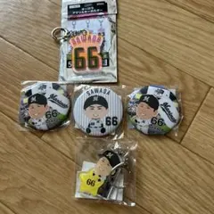 千葉ロッテマリーンズ　澤田圭佑選手セット