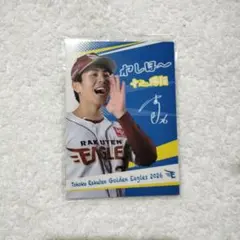 楽天イーグルス 中込陽翔 わしほーカード