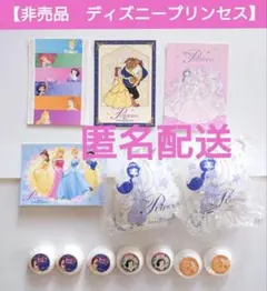 【非売品】ディズニープリンセス　アンバサダー　アメニティ　ポスカ