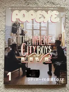 POPEYE 2013年1月号 「シティボーイの部屋とD.I.Y.」【除籍本】