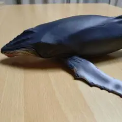 ザトウクジラ　シュライヒ　フィギュア　廃盤モデル 美品◾️廃盤品□シュライヒ ザトウクジラ(仔) - メルカリ
