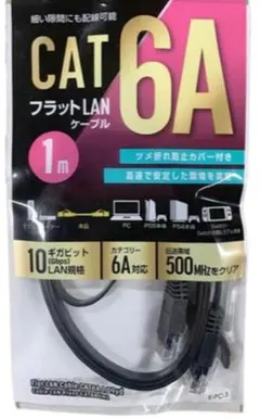 専用　　CAT 6A LANケーブル 1m