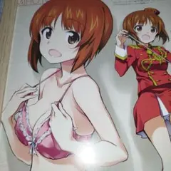 ガールズ＆パンツァー 　西住みほ　額装　B5サイズ