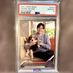 2026年最新】大谷翔平 デコピン psa10の人気アイテム - メルカリ