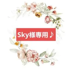 Sky様 リクエスト 2点 まとめ商品