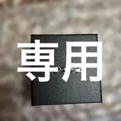 hazama ピアス シルバー - メルカリ