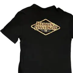 【120周年記念】ハーレーダビッドソン ポケットTシャツ S バックプリント 黒のサムネイル