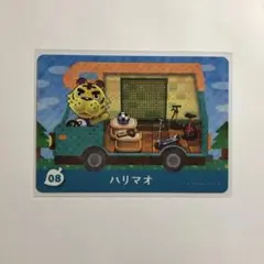 とびだせ どうぶつの森 amiibo + 08 ハリマオ