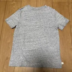 Item thumbnail for item a0435dce-1e3d-474c-9ed8-9eb70799544a