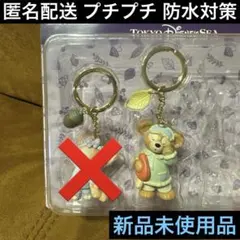 ダッフィー ♦︎キーチェーン♦︎フォールズサウンドインビテーション♦︎キーホルダー