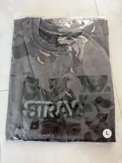 straykids RUN IT JAPAN フォトTシャツ 黒 M スキズ ② - メルカリ