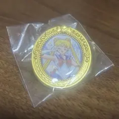 美少女戦士セーラームーン 乙女のアソートコレクション ピンバッジ