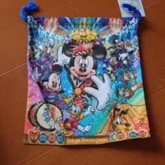 ディズニー夏祭り爽涼鼓舞＊巾着
