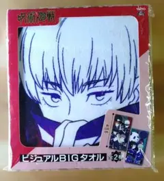 2026年最新】呪術廻戦 ビッグサイズビジュアルタオル vol.1の人気