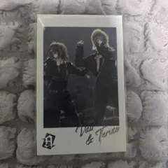 ばぁうくん てるとくん ランダムチェキ