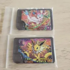 ポケモンフレンダ第4弾ワンダーピック2種セット