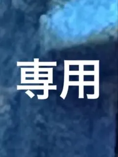 専用