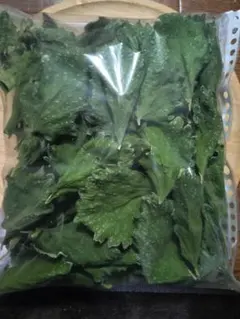 Item thumbnail for item b2cf5a2a-1eca-4865-8793-3e23d7d7f6b4