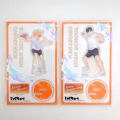 ハイキュー アクリルスタンド 水遊び 日向翔陽 影山飛雄