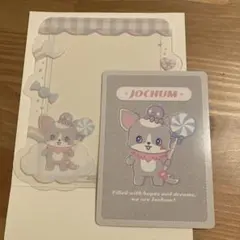JOCHUM キャンディシリーズ　トレカケース　チュララ