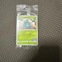 最安値　フシギダネ：イラストレーションコンテスト2022 3パック　新品未開封 未開封】イラストレーションコンテスト2022 プロモ 3枚set フシギダネ
