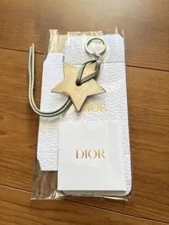 Dior ディオール スターモチーフ キーリング キーホルダー
