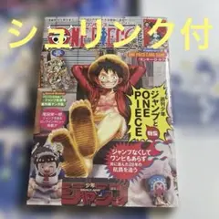 ワンピースマガジン　20号　シュリンク付き未開封　ルフィ　プロモ　1