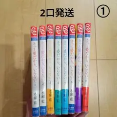 きっと愛だから、いらない 全巻セット①
