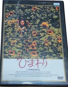 ひまわり