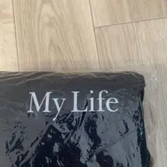 zorn武道館　My Life プリント ネイビー パーカー Lサイズ