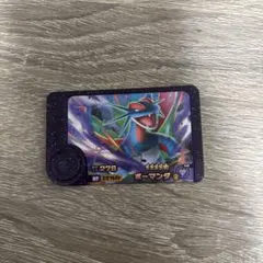 ポケモン フレンダ 5弾 ボーマンダ