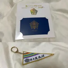 嵐のワクワク学校2019 復刻版交渉バッジ ペナントキーホルダー グッズ