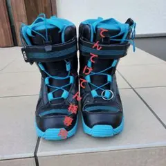 Item thumbnail for item 2d8cb2f2-e8d4-49d2-b7be-aa3504a28e87