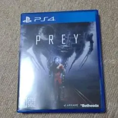 PREY