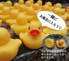 Item thumbnail for item c4805875-4e17-470c-984e-b5148f304959