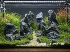 きら　MSS-6874 セレクト品青龍石31cm親石　龍王石　竜王石 2026年最新】龍王石 親石の人気アイテム - メルカリ